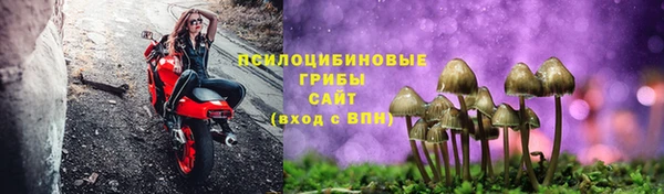 PSILOCYBIN Бугульма